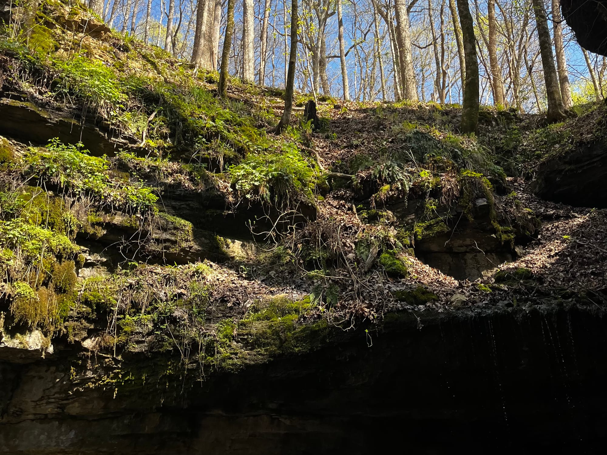 Mammoth Cave Weekend