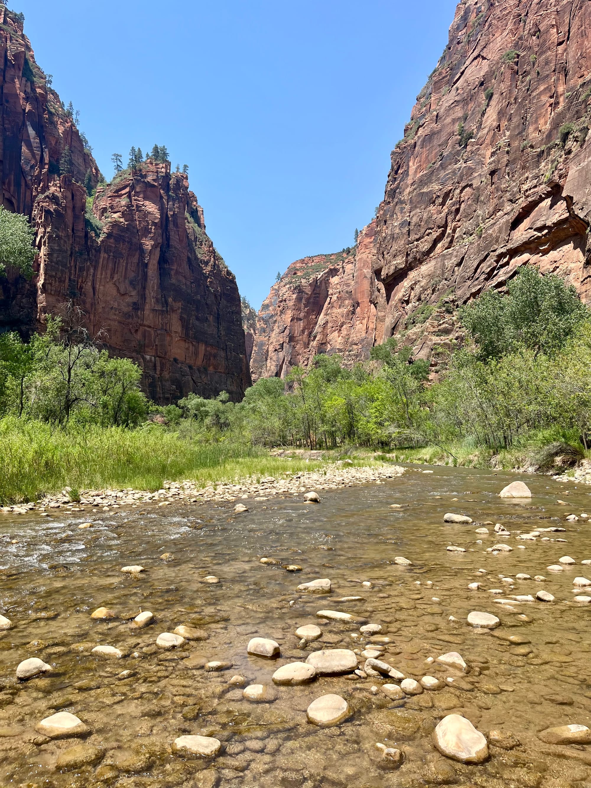 Finding Joy in the Life I Didn’t Plan