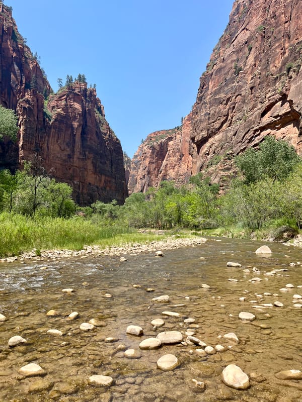 Finding Joy in the Life I Didn’t Plan